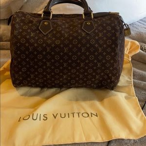 LOUIS VUITTON Mini Lin Speedy 30 Bag